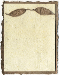 Sequoia DIY Invitation Kit