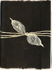 Sequoia with Natural Eco-twist ribbon