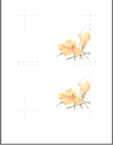 3.5" x 5" Custom Template