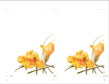 4.75" x 6.75"